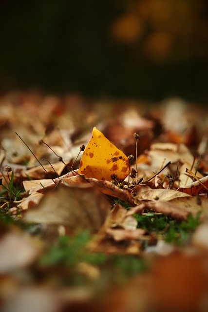 胡尔克谈转会传闻：媒体谈论的比我自己知道的还多