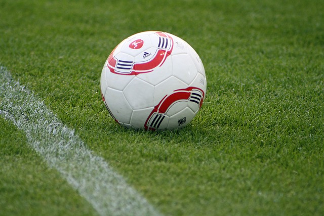 德转列瑞士球员历史身价前10：扎卡5000万欧第1，阿坎吉第2