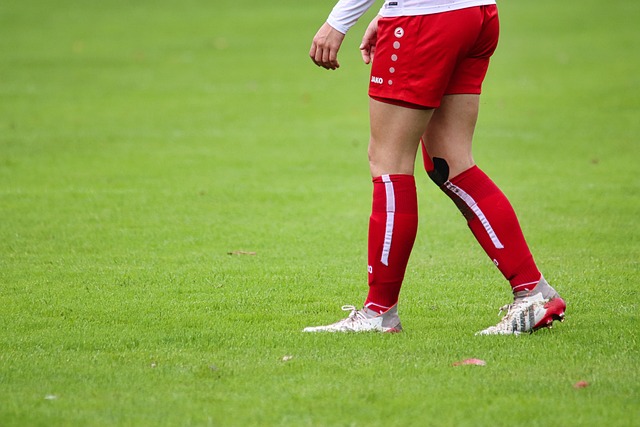 欧洲区世预赛I组大结局：挪威全胜出线，意大利将参加附加赛